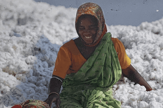 The Organic Crew Guide to Organic Cotton.
