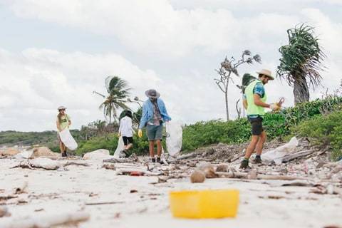 Clean Coast Collective x ORGANIC CREW