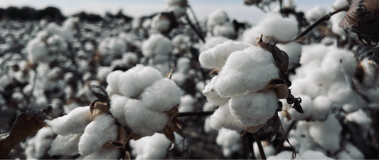 Our Organic Cotton