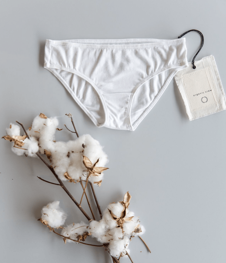 coco hipster brief- single pair in white brief Organic Crew 