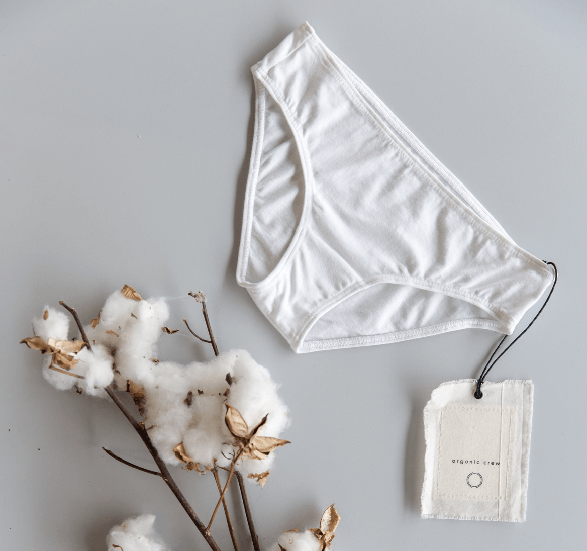 coco hipster brief- single pair in white brief Organic Crew 